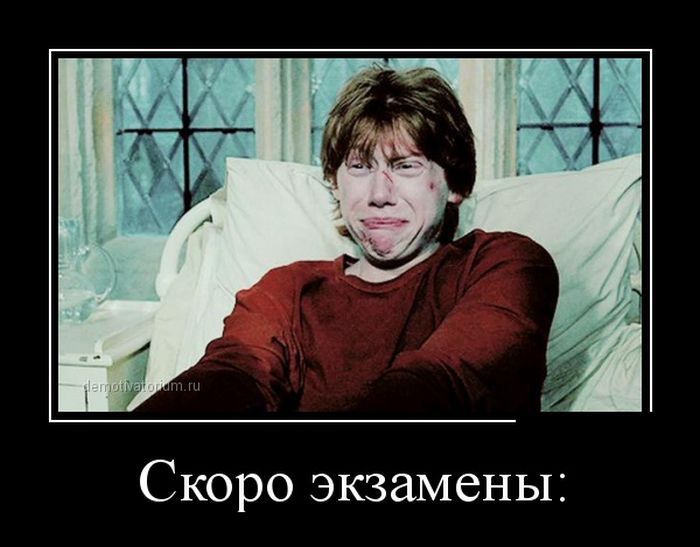 Демотиваторы (30 фото)