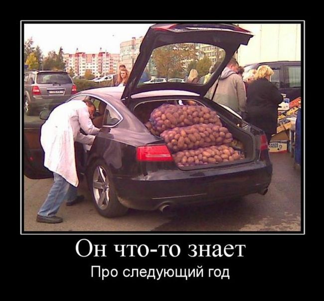 Демотиваторы (30 фото)