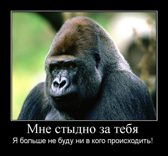 Демотиваторы (30 фото)