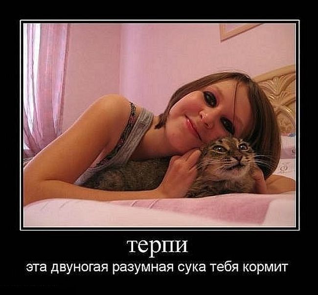 Демотиваторы (30 фото)