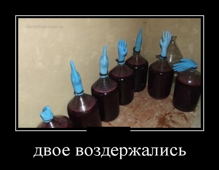 Демотиваторы (30 фото)