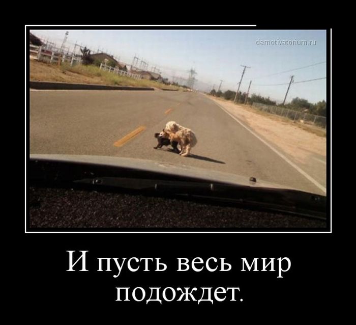 Демотиваторы (30 фото)