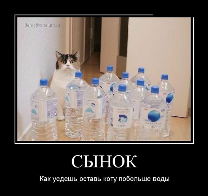 Демотиваторы (30 фото)