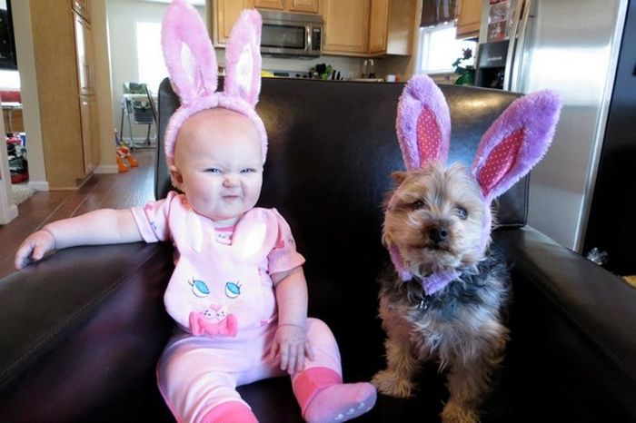 Прикольные картинки (130 фото)