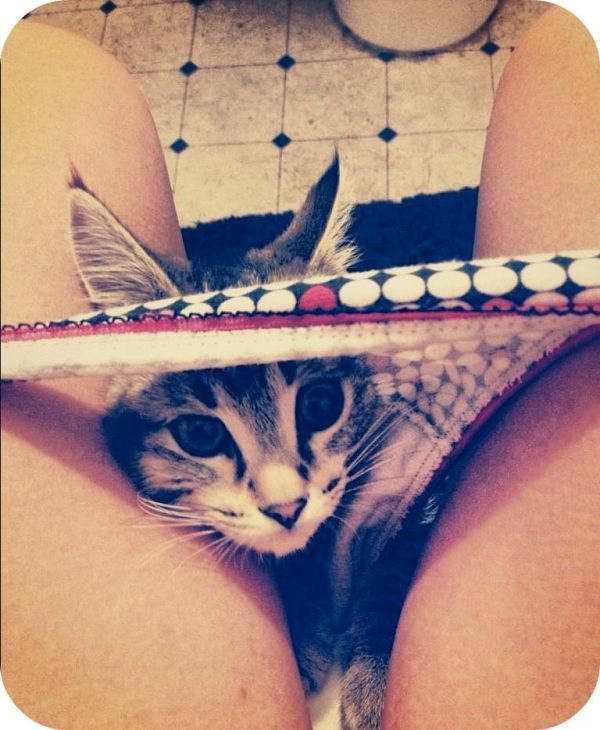 Прикольные картинки (130 фото)