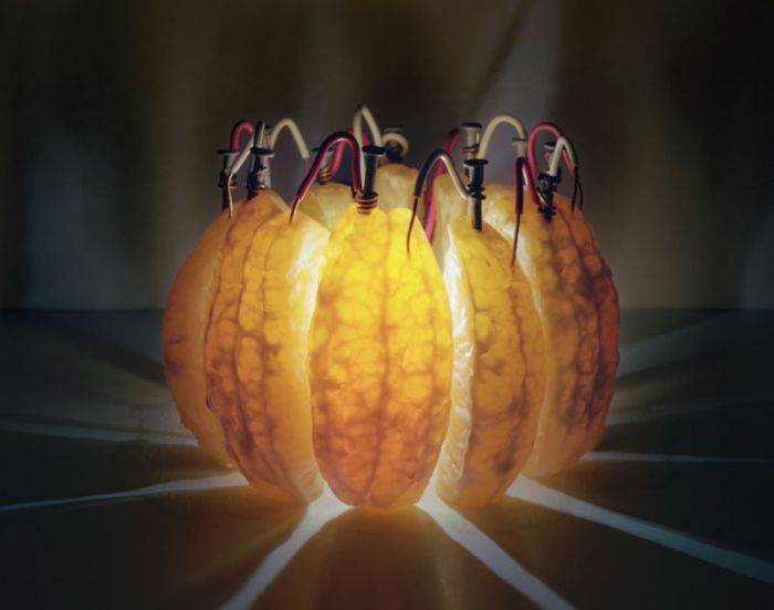 Прикольные картинки (130 фото)