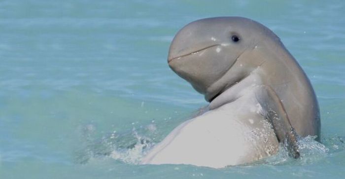 Прикольные картинки (103 фото)