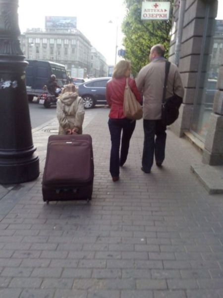 Прикольные картинки (103 фото)