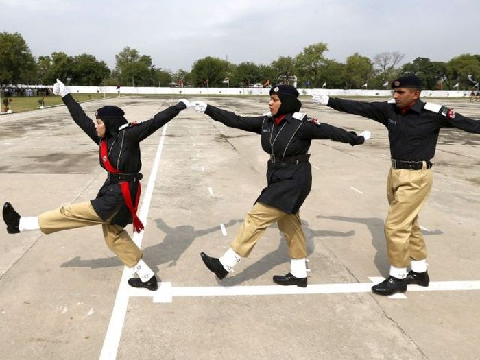 Прикольные картинки (103 фото)