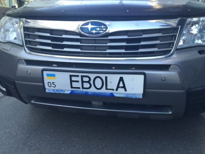 Прикольные картинки (103 фото)