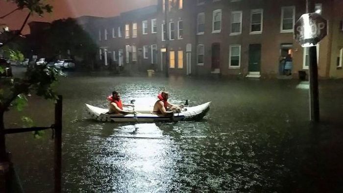 Прикольные картинки (103 фото)