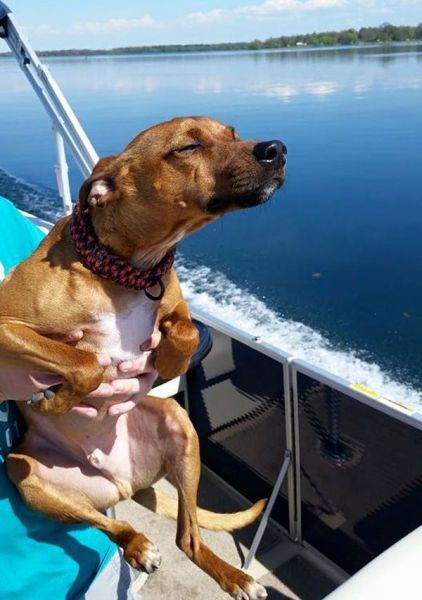 Прикольные картинки (103 фото)