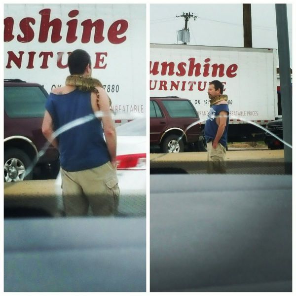 Прикольные картинки (103 фото)