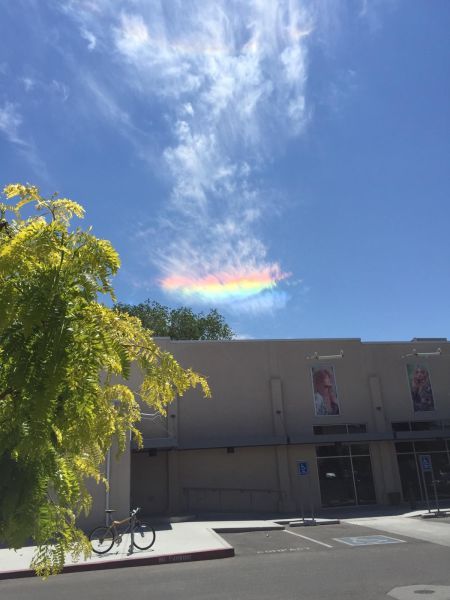 Прикольные картинки (103 фото)