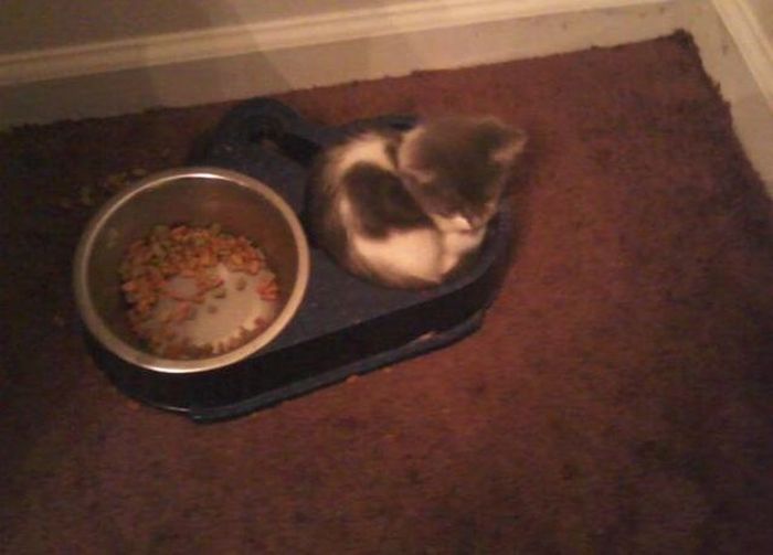 Прикольные картинки (109 фото)