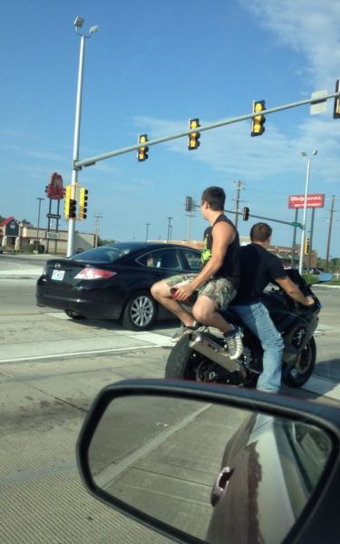 Прикольные картинки (109 фото)