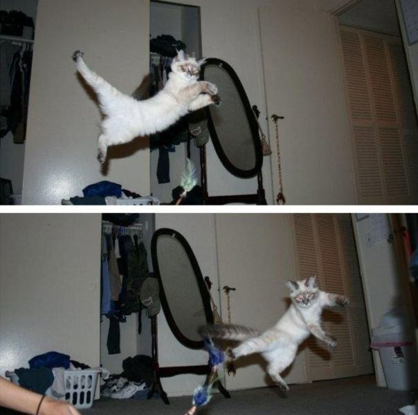 Прикольные картинки (109 фото)