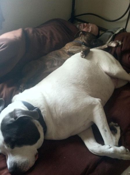 Прикольные картинки (109 фото)