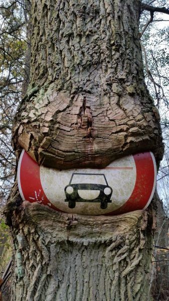 Прикольные картинки (91 фото)