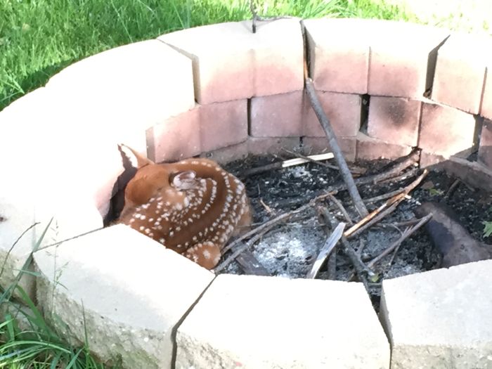 Прикольные картинки (91 фото)