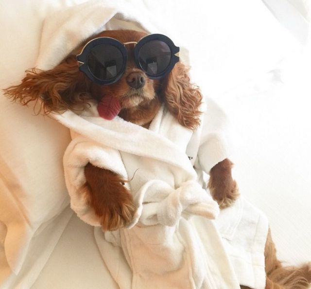 Прикольные картинки (91 фото)