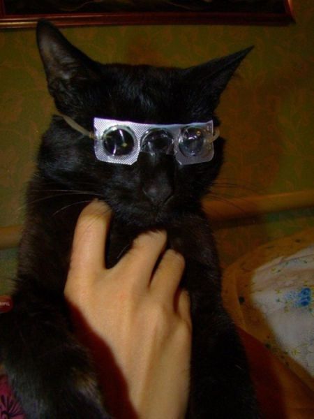 Прикольные картинки (91 фото)