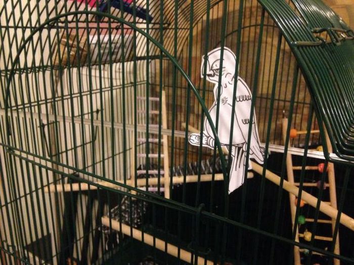 Прикольные картинки (91 фото)