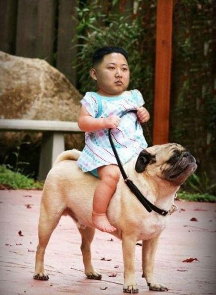 Прикольные картинки (112 фото)