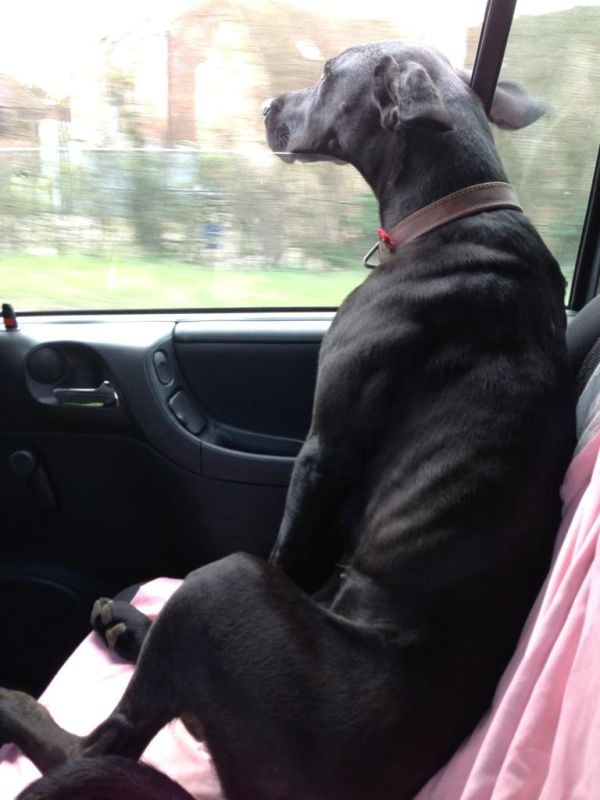 Прикольные картинки (112 фото)