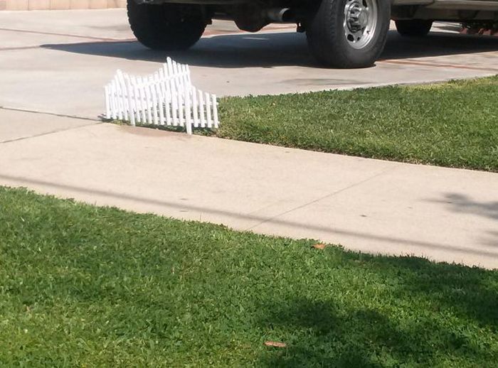 Прикольные картинки (126 фото)