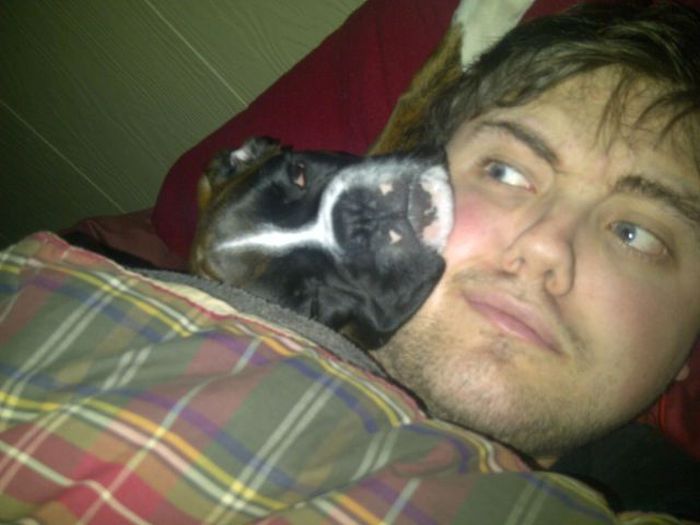 Прикольные картинки (126 фото)