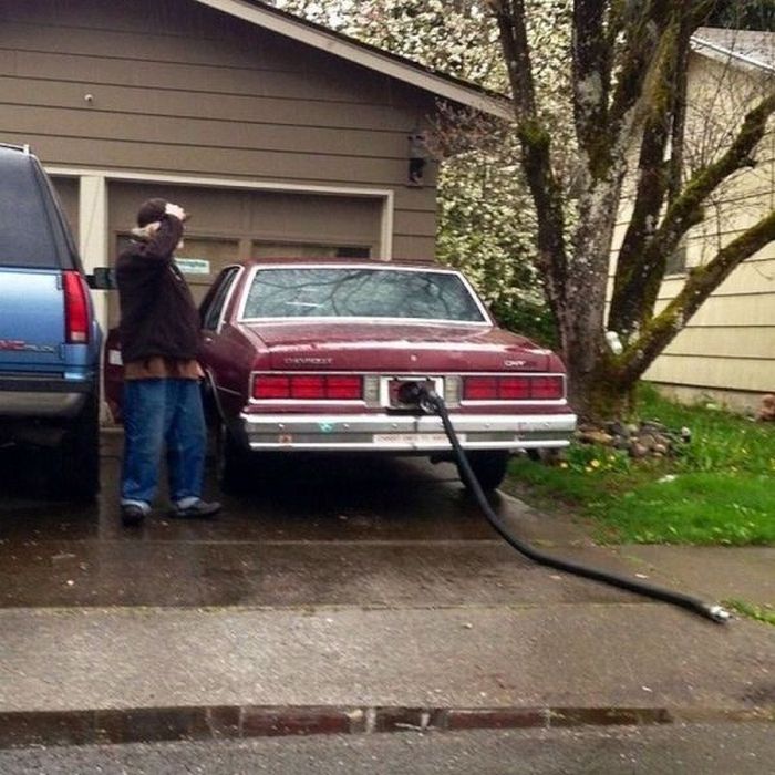 Прикольные картинки (99 фото)