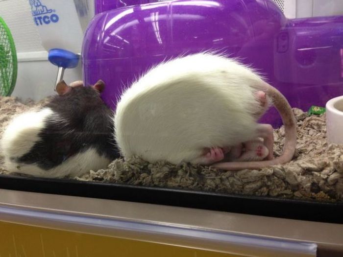 Прикольные картинки (94 фото)