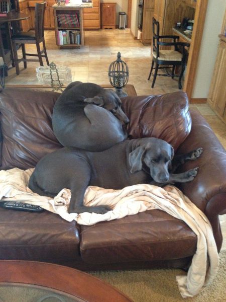 Прикольные картинки (94 фото)