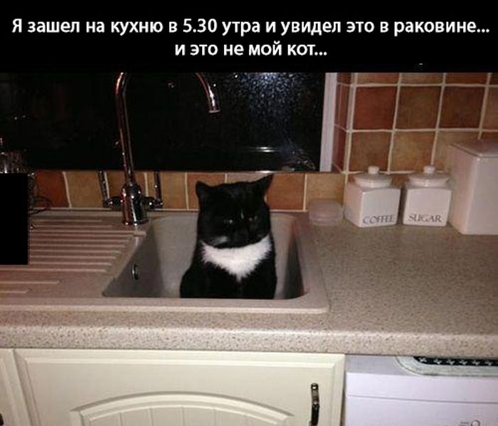 Прикольные картинки (96 фото)