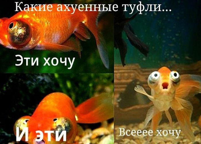 Прикольные картинки (96 фото)