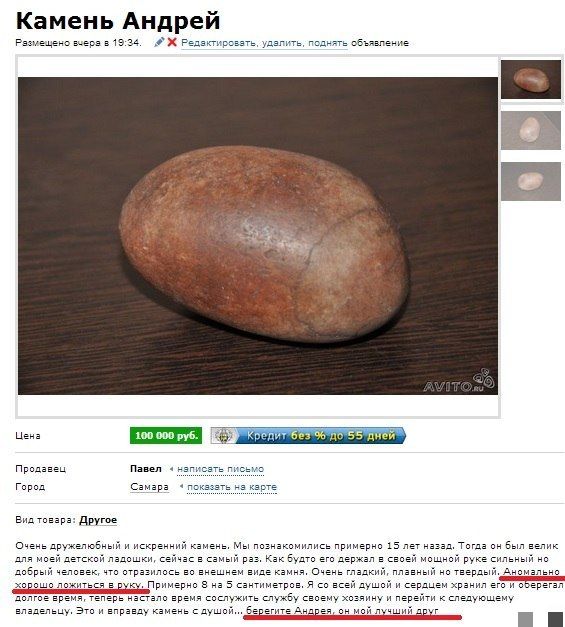 Прикольные картинки (96 фото)