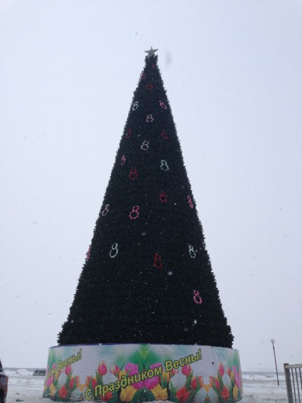 Прикольные картинки (96 фото)