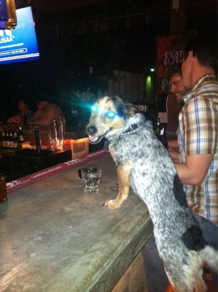 Прикольные картинки (120 фото)