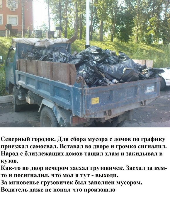 Прикольные картинки (120 фото)