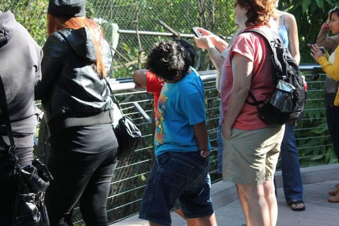 Прикольные картинки (120 фото)