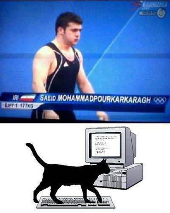 Прикольные картинки (120 фото)