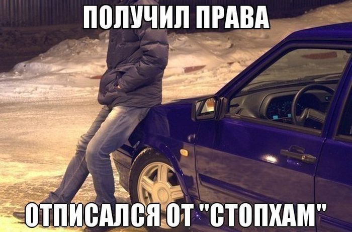 Прикольные картинки (120 фото)