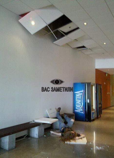 Прикольные картинки (115 фото)