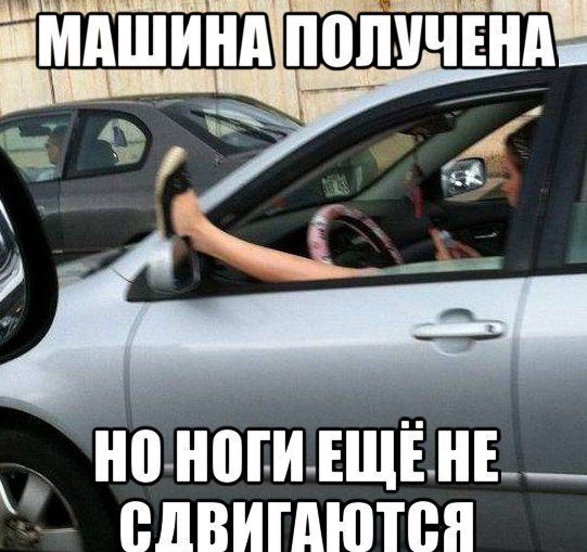 Прикольные картинки (115 фото)