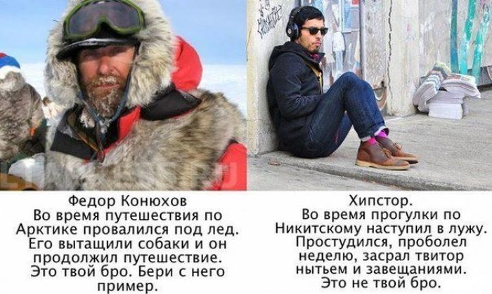 Прикольные картинки (115 фото)