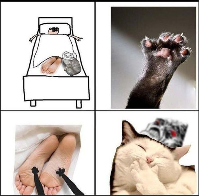 Прикольные картинки (115 фото)