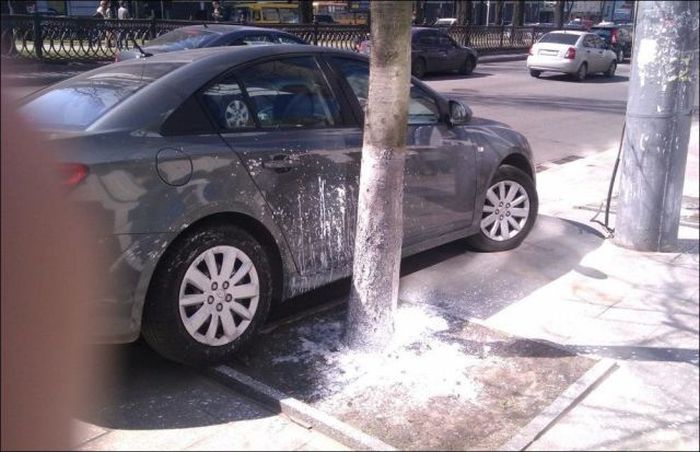 Прикольные картинки (148 фото)