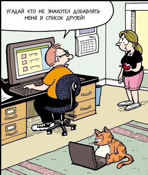 Прикольные картинки (148 фото)