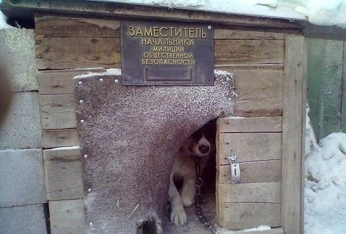 Прикольные картинки (148 фото)